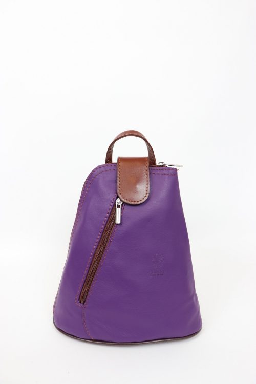 F264S Small Leather Backpack